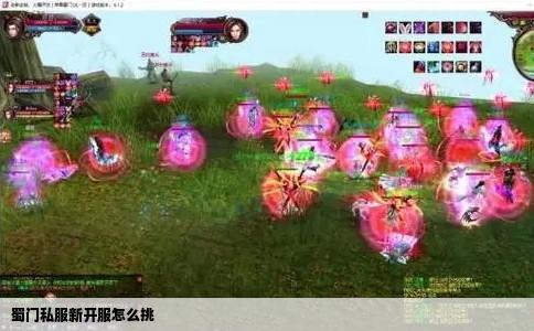 蜀门私服新开服怎么挑